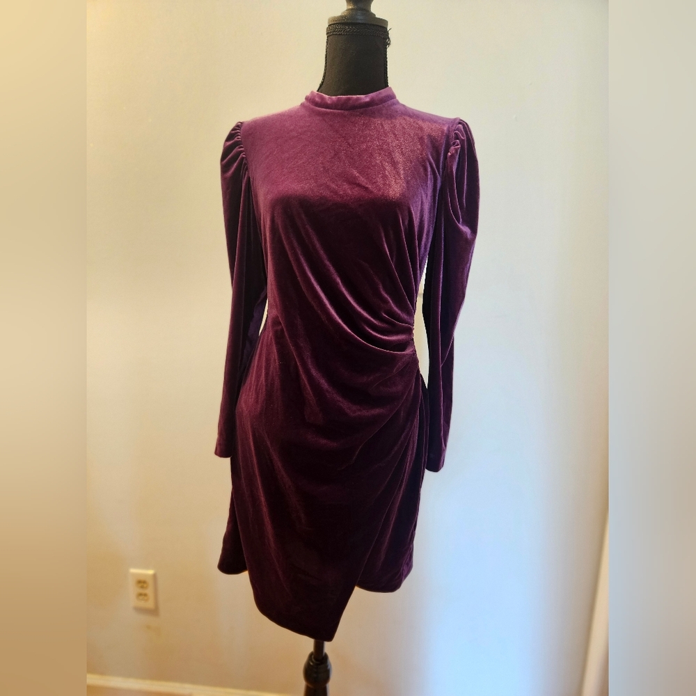 Elegant Purple Velvet Dress